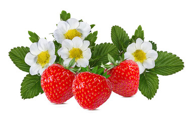 Strawberry with flower isolated on white background