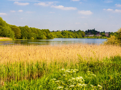 Beautiful early summer day at Pickmere Lake, Pickmere, Cheshire, UK