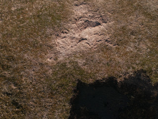 Grass field and water at Vik, Iceland