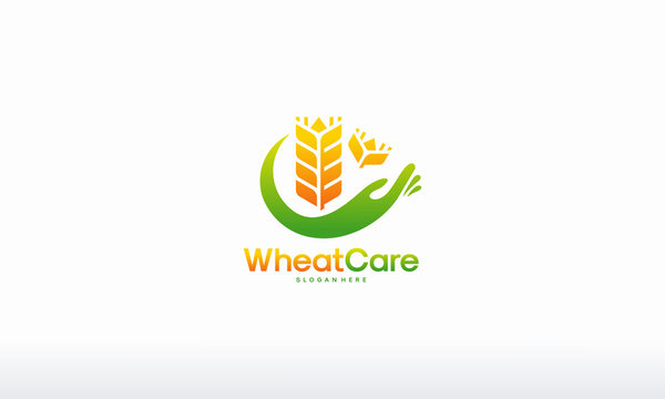 Wheat Care logo designs concept vector, Agriculture Grain logo designs