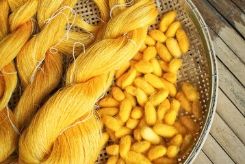 silkworm cocoon hand made of raw thread silk clothing : Closeup