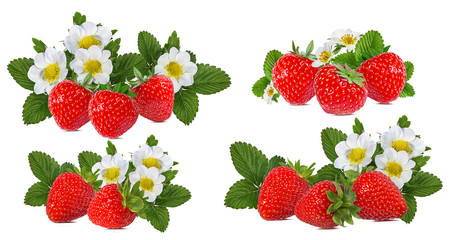 Fototapeta na wymiar Strawberry with flower isolated on white background