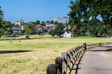 Obraz premium Skyline of city Arnhem, Netherlands, with Park Sonsbeek in the foreground.
