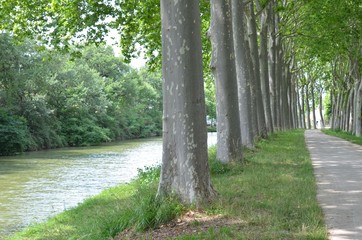 Canal du Midi, France