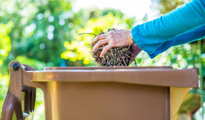 Gartenabfälle werden in eine Mülltonne für biologische Abfälle entsorgt