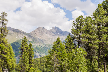 St. Moritz, Stazerwald, Stazersee, Bergsee, Wanderweg, Alpen, Oberengadin, Graubünden, Sommer, Schweiz