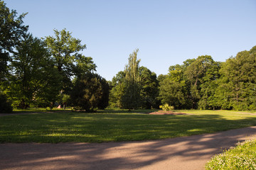 Fototapeta na wymiar Beautiful view in the summer park