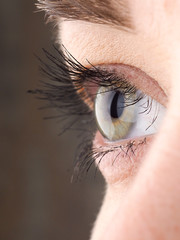 Close-up of eye, the human eye sideways,girl's eyes with big eyelashes, natural beauty