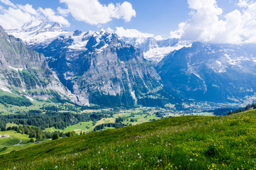 Fototapeta na wymiar Green Hill and High Mountains with Snow in Swiss
