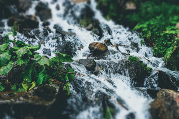 River with rocks and moss with small waterfall in the summer forest