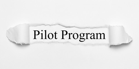Pilot Program on white torn paper