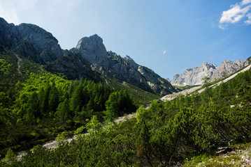 Panorama lungo la salita al Rifugio Pacherini da Forni di Sopra