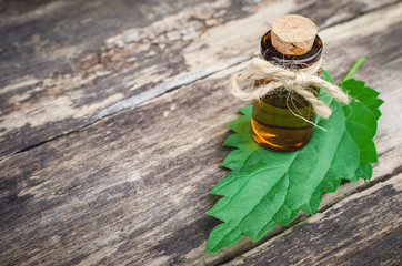 Nettle essential oil. Naturopathy. Herbal medicine.