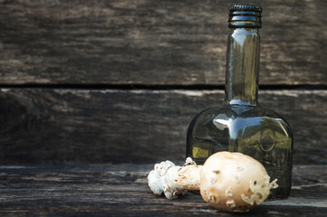 Amanita poisonous fungus tincture. Homeopathy.