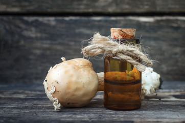 Amanita poisonous fungus tincture. Homeopathy.