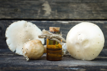 Amanita poisonous fungus tincture. Homeopathy.