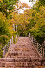 Obraz premium Beautiful colorful autumn park in sunny day