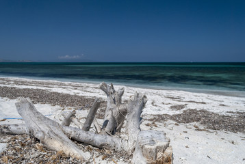 Sardegna