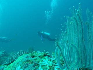 Scuba diver in El Nido Philippines