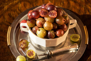 eine Schüssel mit frisch gepflückten Stachelbeeren