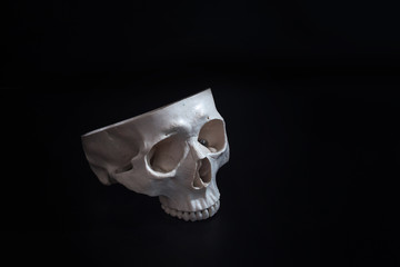 Open skull. Human skull. No brains. Black background