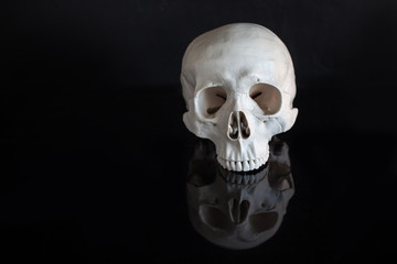 Human skull. Halloween. On black glossy background with reflection