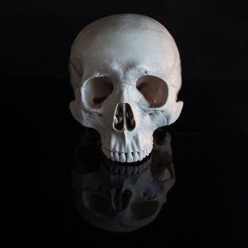 Human skull. Halloween. On black glossy background with reflection