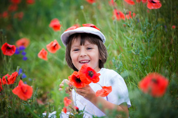 Preschool child in a poppy field, springtime