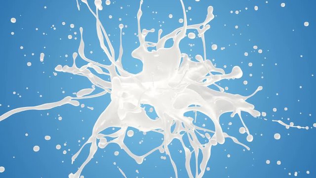 Milk or yogurt explosion in slow motion. 3D animation of white liquid cream drops splash isolated on blue. Alpha matte included for compositing. 4K bright white and blue design element