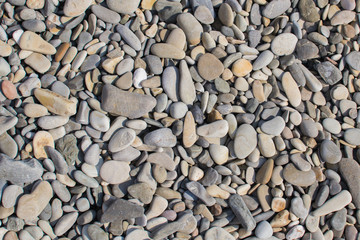 texture of sea rocks