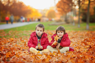 Two kids, boy brothers, playing with leaves in autumn park