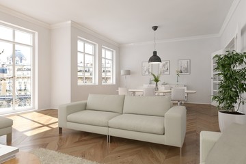 modern bright skandinavian interior design living room