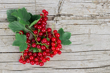 Red currant in metal bowl on old rustic wooden table background. Copy space, top view