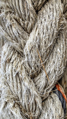 Old white rope closeup