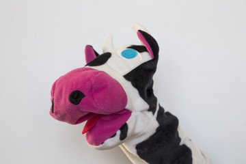 the funny cow puppet show on the white background for school activity time.
