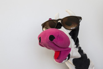 the funny cow puppet show on the white background for school activity time.