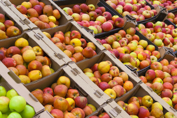 Pile of apples in the cartons boxes on the stall in the supermarket