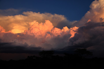 Africa, Central African Republic, Sangaris 