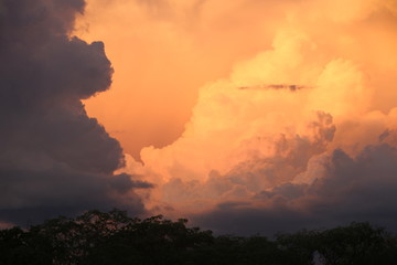 Africa, Central African Republic, Sangaris 