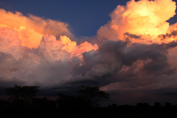 Africa, Central African Republic, Sangaris 