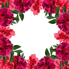 Beautiful floral background with peony and Chinese roses 