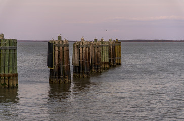 Ferry dock pier