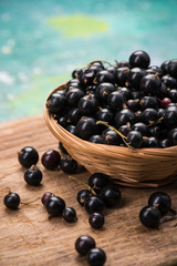 Fresh ripe blackcurrant in basket, copy space on wooden board