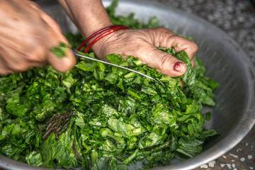Woman hand cutting raw green vegetable on utencile