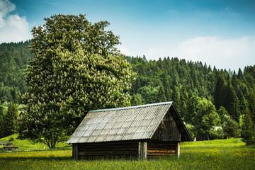 Fototapeta na wymiar Traditional shepherds hut in rural Slovenia