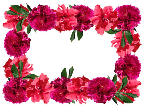 Beautiful floral frame with peony and Chinese roses 