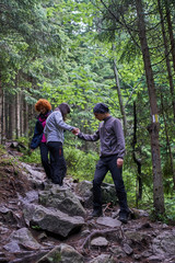 Obraz premium People hiking into the forest