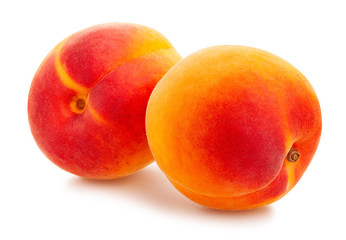 apricot