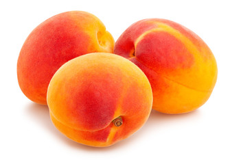 apricot