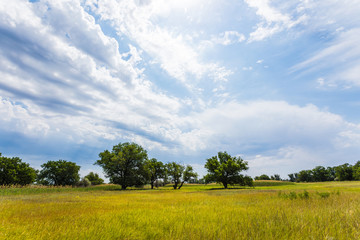 The Volgograd russian steppe or prairie in july with the oaks, grass and clouds. The typical summer landscape during the hot ry summer on the south of Russia
